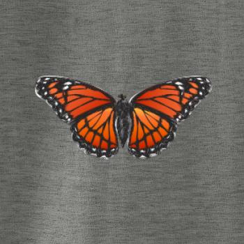 Motýľ Monarcha sťahovavý