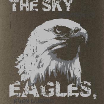 Eagle skystorm