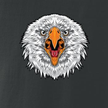  Hlava rozhnevaného orla