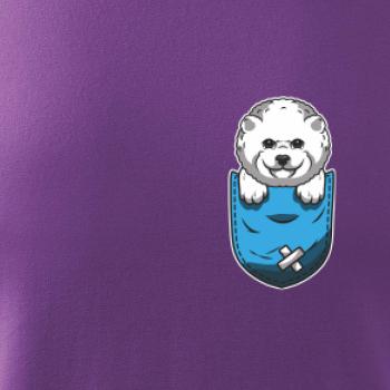 Bišónik v kapsičke