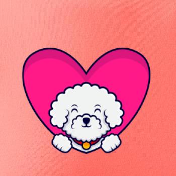 Bišónik zalezený v srdci