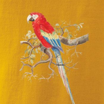 Papagáj  na listnatom strome Papagáj  na listnatom strome