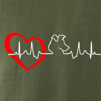 Borderská kólia EKG Borderská kólia EKG