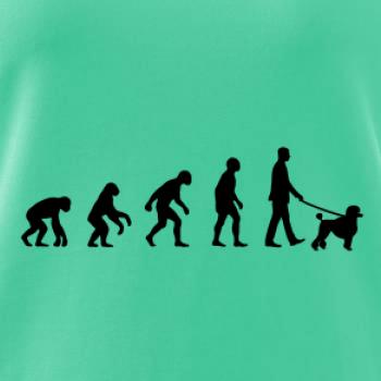 Evolúcia pes pudel (muž-žena)