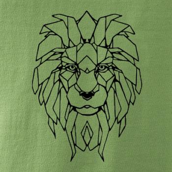 Geometria - lev tvár