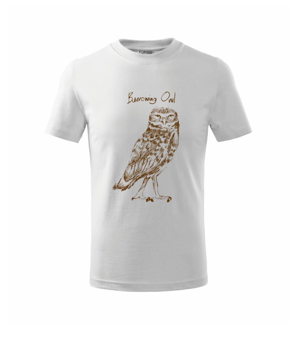 Kuvik zemný burrowing owl