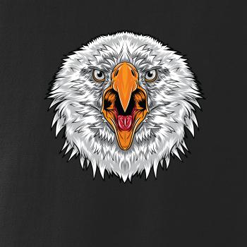  Hlava rozhnevaného orla