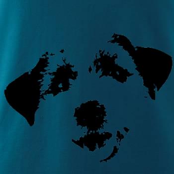 Jack Russell Terriér - hlava