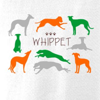 Whippet farebný