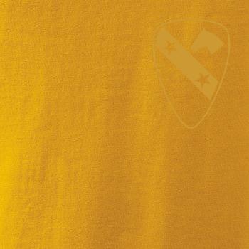 1st Cavalry Division hviezdy prsia zlatá 1st Cavalry Division hviezdy prsia zlatá