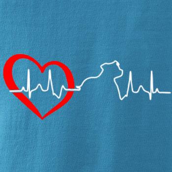 Stafordšírsky bulteriér ‎ EKG