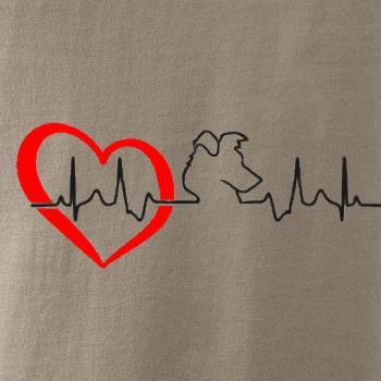 Borderská kólia EKG Borderská kólia EKG