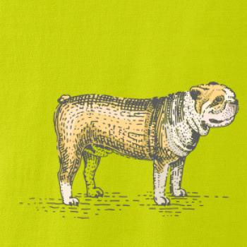 Vintage bulldog