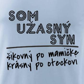 Som úžasný syn