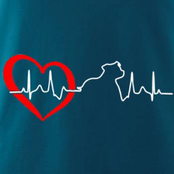 Stafordšírsky bulteriér ‎ EKG