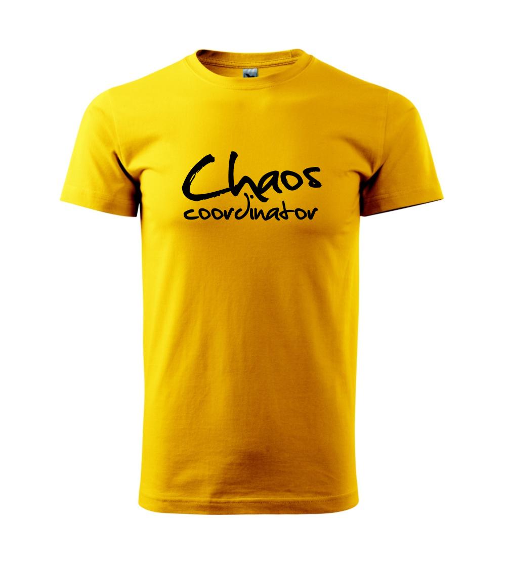 Chaos coordinator Chaos coordinator