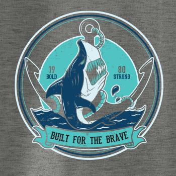 Shark anch Shark anch