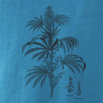 Konope kvietok čiernobiely  