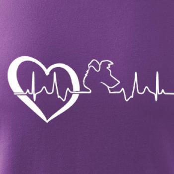 Borderská kólia EKG Borderská kólia EKG