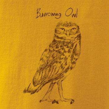 Kuvik zemný burrowing owl