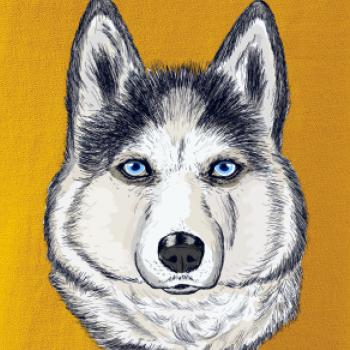 Husky hlava - kreslený