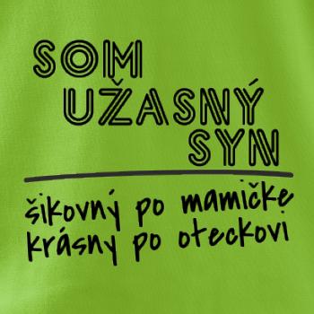 Som úžasný syn
