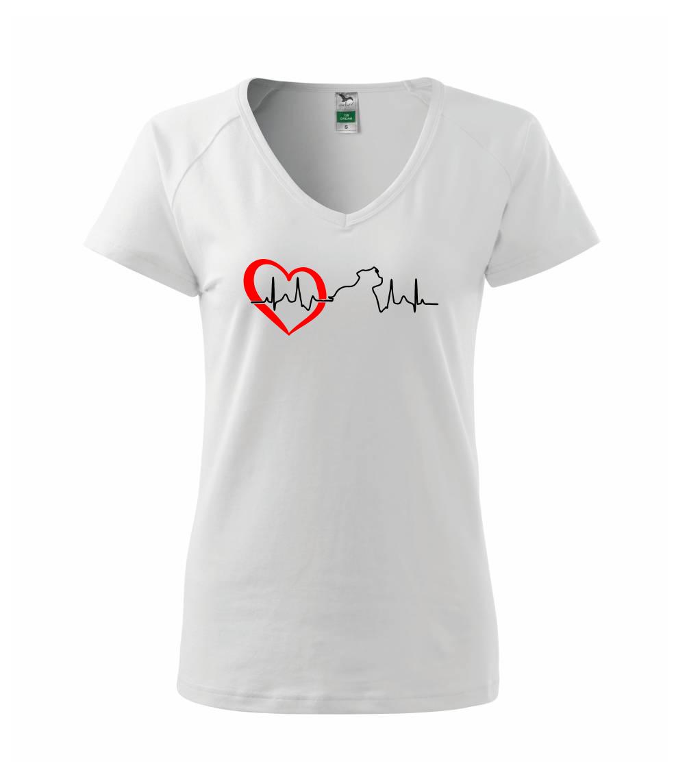 Stafordšírsky bulteriér  EKG Stafordšírsky bulteriér  EKG