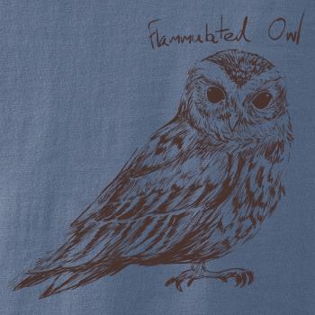 Výrček ohnivý  flammulated owl Výrček ohnivý  flammulated owl