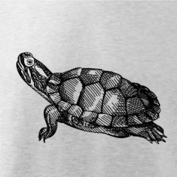 Ceruzkou kreslená korytnačka