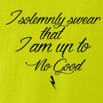 I solemnly swear that I'm up to no good