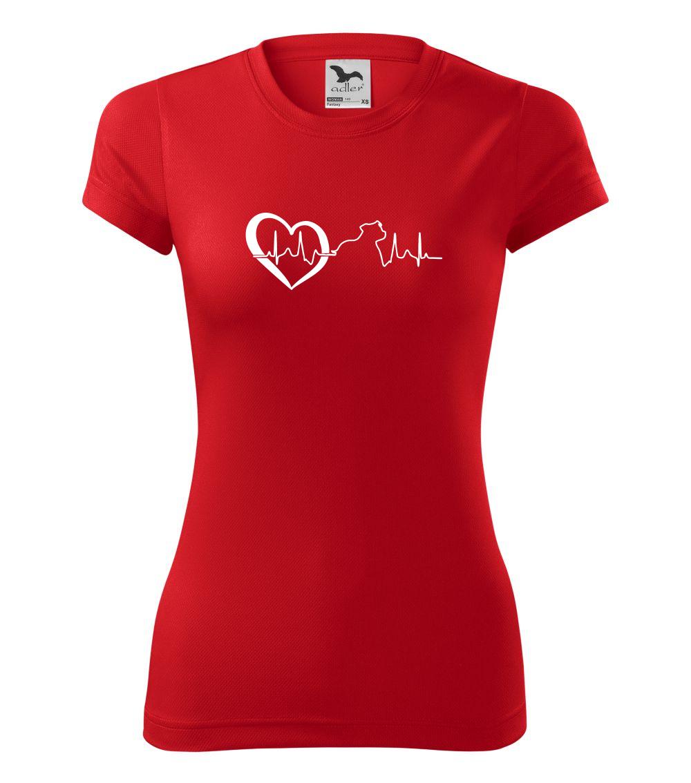 Stafordšírsky bulteriér  EKG Stafordšírsky bulteriér  EKG