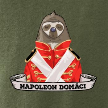 Napoleon domáci leňochod SK
