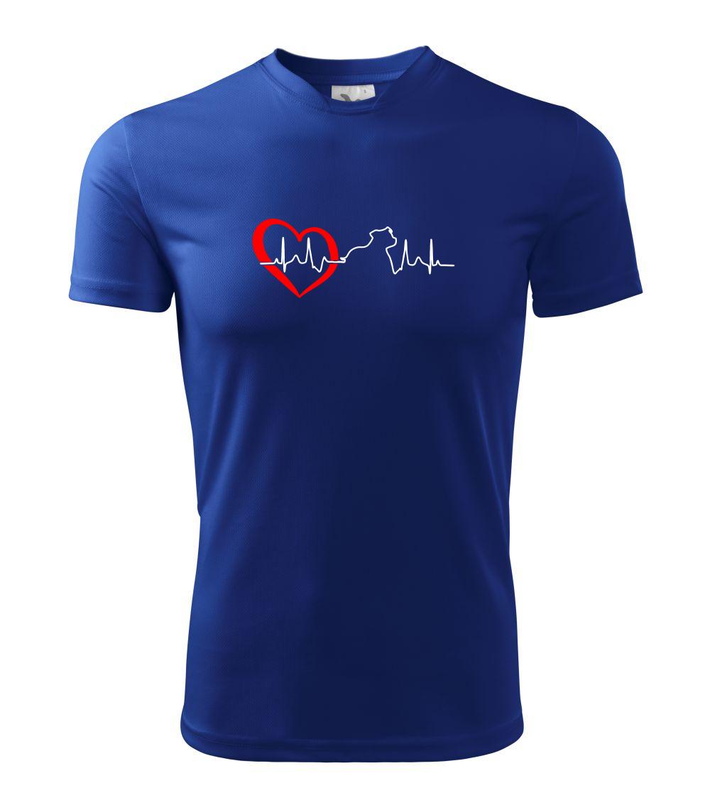 Stafordšírsky bulteriér  EKG Stafordšírsky bulteriér  EKG