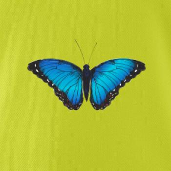 Motýľ Babôčka Morpho Peleides