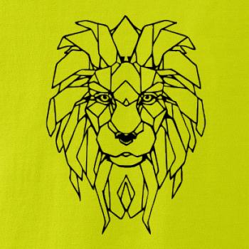 Geometria - lev tvár