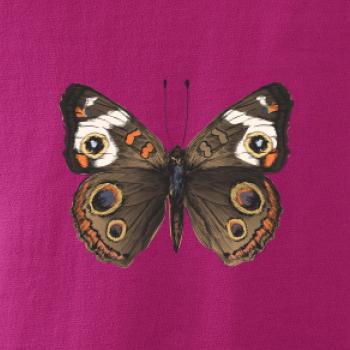 Motýľ motýle Motýľ motýle