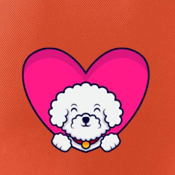 Bišónik zalezený v srdci