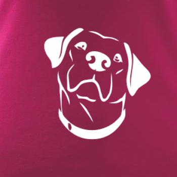 Labrador obrys