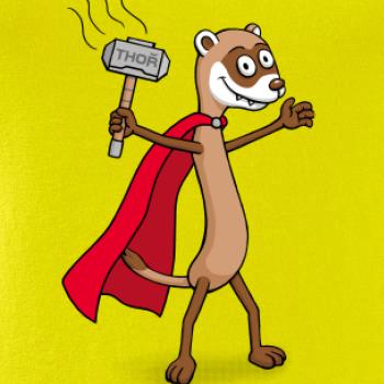 Tchor ako Thor (Hana-creative)