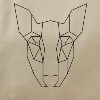 Americký Pit Bull Teriér - Geometria