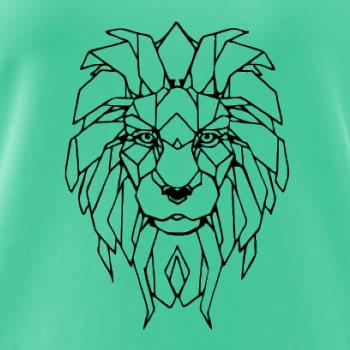 Geometria - lev tvár