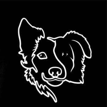 Border kólia obrys hlavy