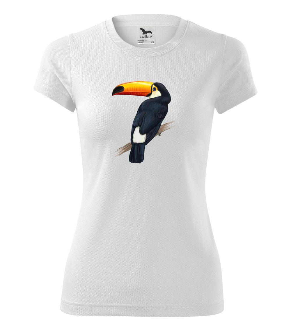 Tukan kreslený Tukan kreslený