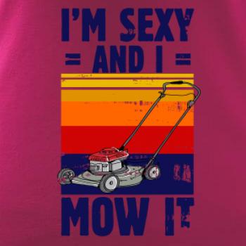 I'm sexy and i mow it