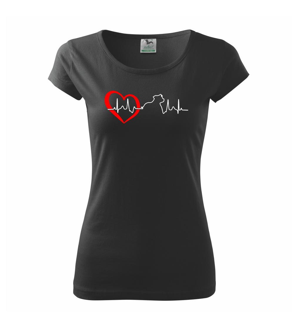 Stafordšírsky bulteriér  EKG Stafordšírsky bulteriér  EKG