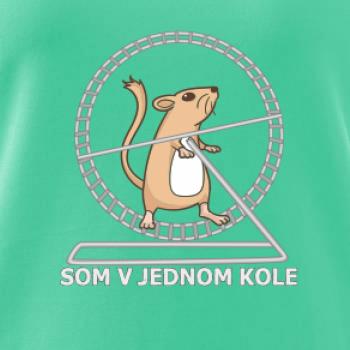 Som v jednom kole