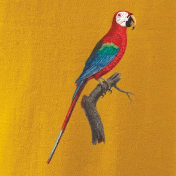 Papagáj červený na vetve