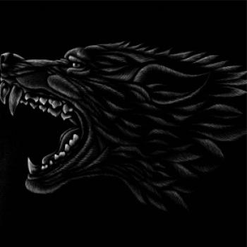 Hlava vlka biela Hlava vlka biela