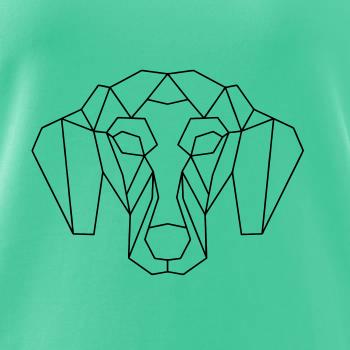 Jazvečík - Geometria 