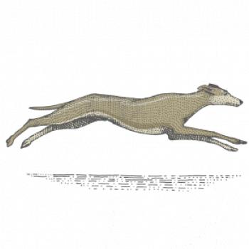Vintage Greyhound